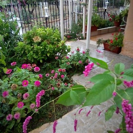 Villa Angela, Traditional Villa In The Village Agios Ioannis Peristerion Exterior foto